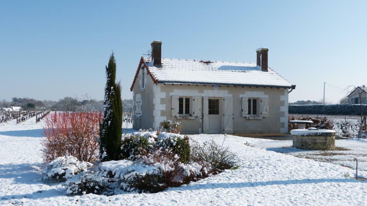 L'Ecrin Au Coeur Des Vignes Villa Saint-Georges-sur-Cher Eksteriør bilde