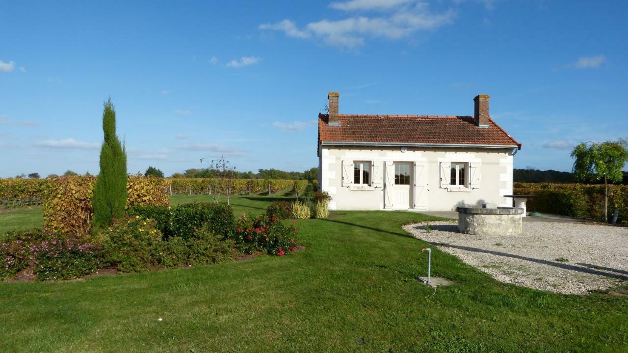 L'Ecrin Au Coeur Des Vignes Villa Saint-Georges-sur-Cher Eksteriør bilde