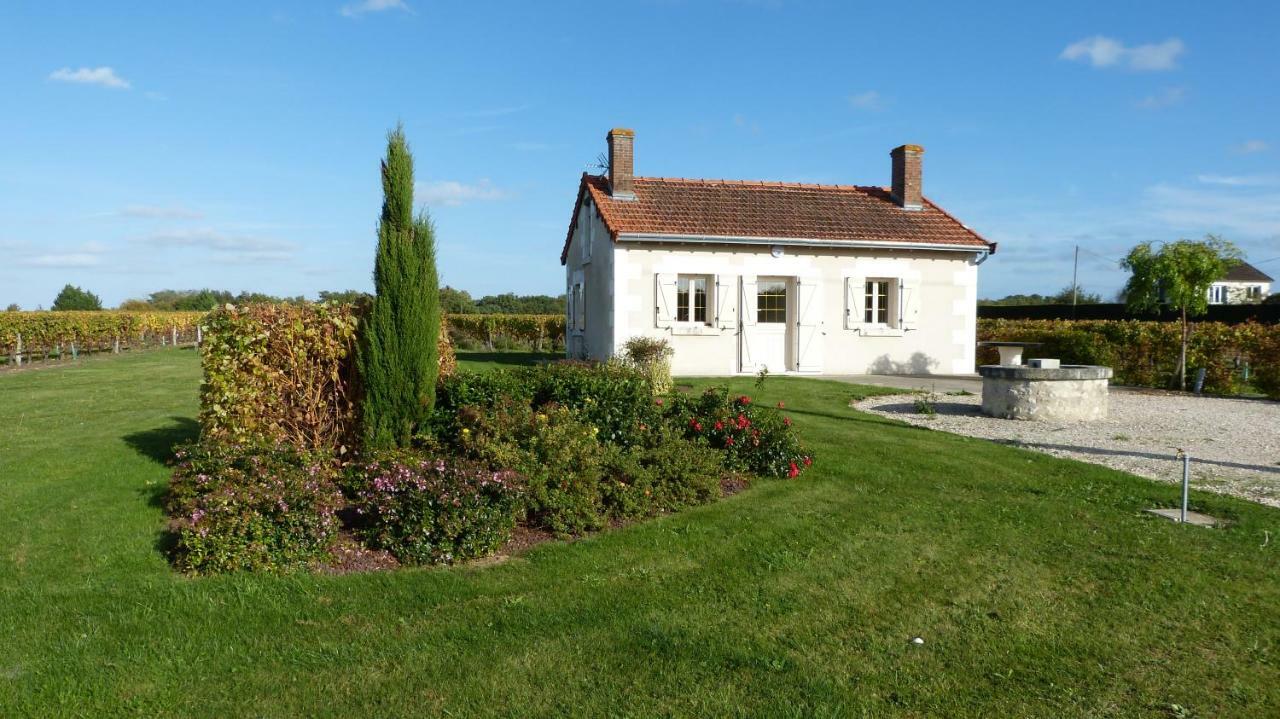 L'Ecrin Au Coeur Des Vignes Villa Saint-Georges-sur-Cher Eksteriør bilde